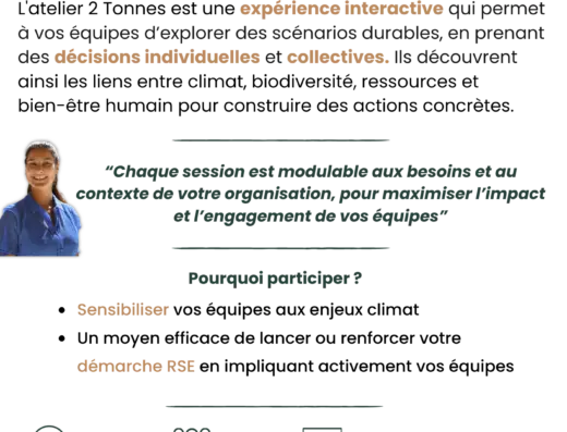 conseil en environnnement